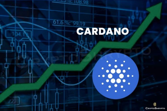 Cardano gets another 8 percent rise