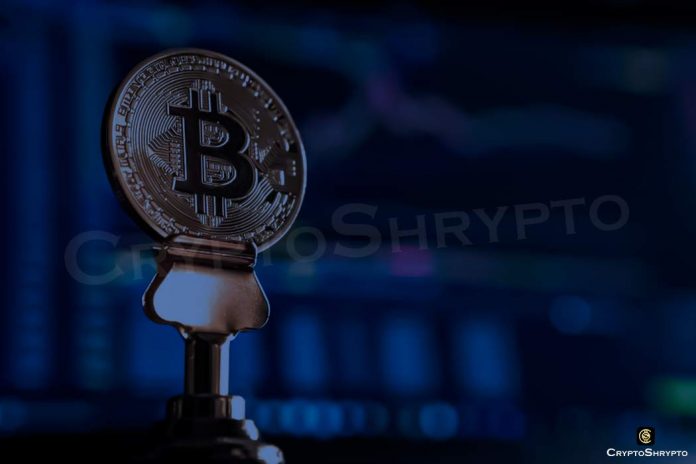 Cryptocurrency future in 2022: Study