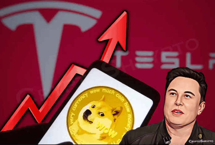 Dogecoin gains 12% after Tesla starts accepting DOGE for merchandise