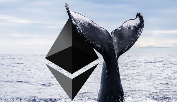 Ethereum whales adds over 271 billion