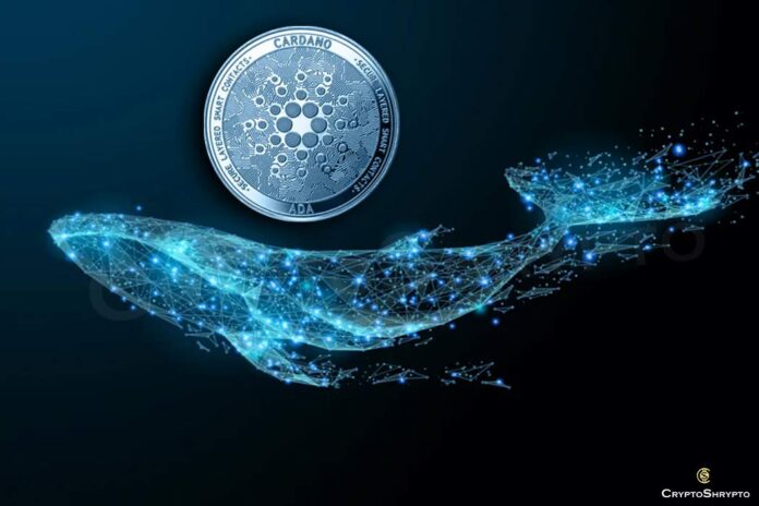 Cardano (ADA) whales rises by 1.7% as holders increase their holdings