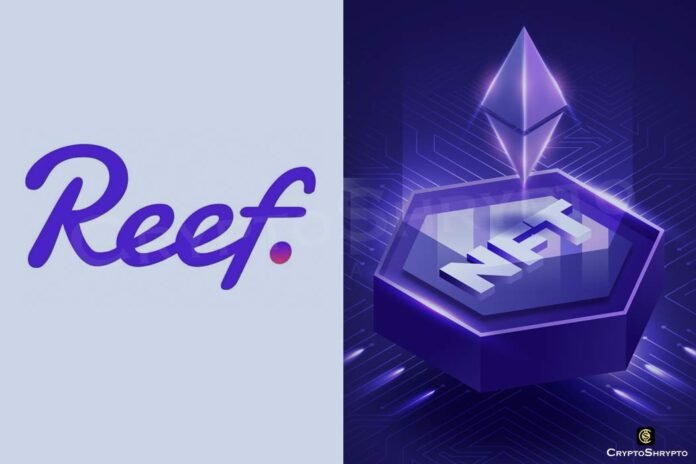 Reef aims to create NFT friendly blockchain