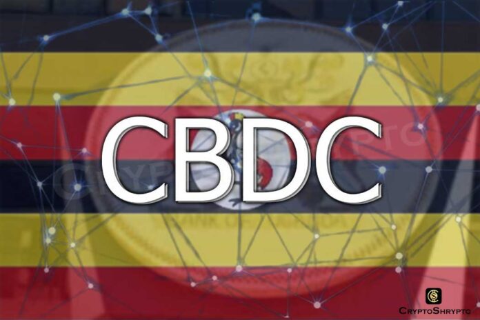 CBDC