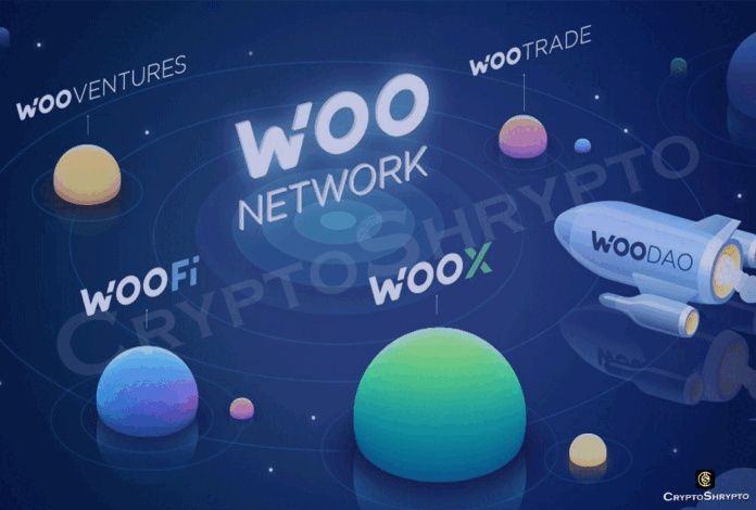 What is WOO Network (WOO)?