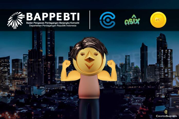 Celebrity tokens: Influence potential crypto adoption in Indonesia