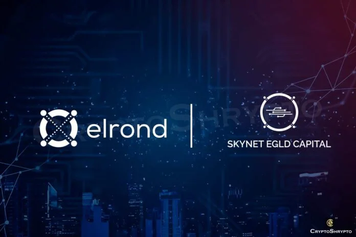 Skynet EGLD Capital raises more than $40 million to boost Elrond Ecosystem