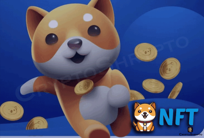 Along with NFT, BabyDoge announces a decentralised exchange
