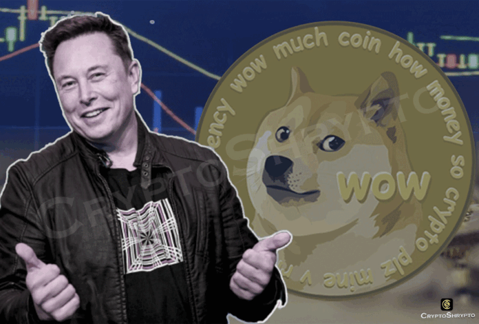 Dogecoin price rises after Cyber Rodeo event by Elon Musk