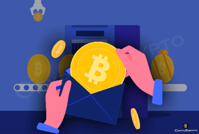 What are Wrapped Tokens?