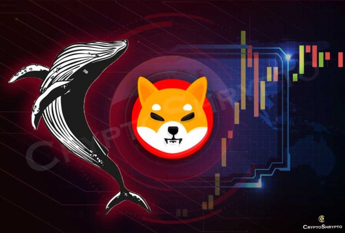 Whale transactions in Shiba Inu grow 68%