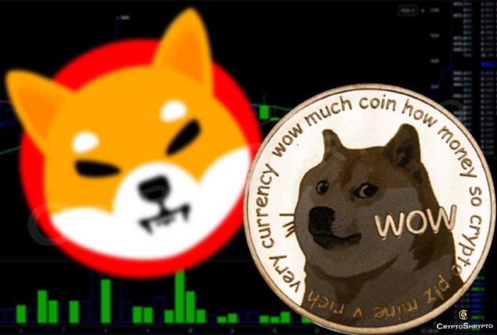 Shiba Inu closes the gap with Dogecoin, surpasses 3.33 million followers