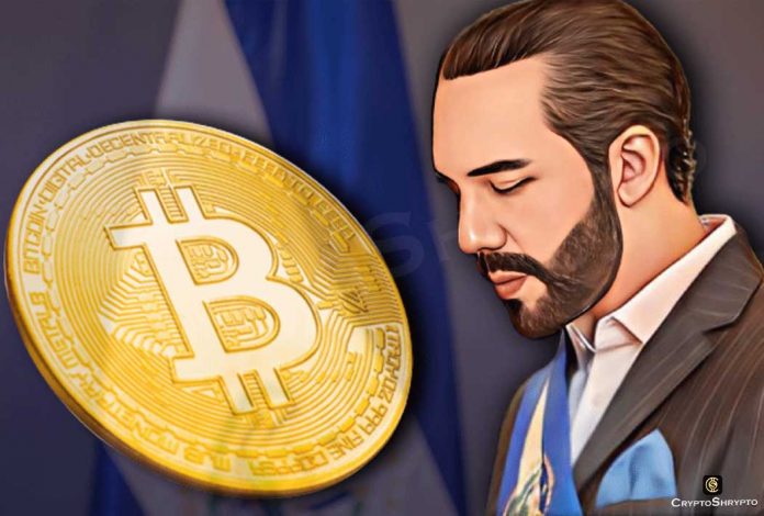 El Salvador loses $40 million over Bitcoin fluctuation: Bloomberg
