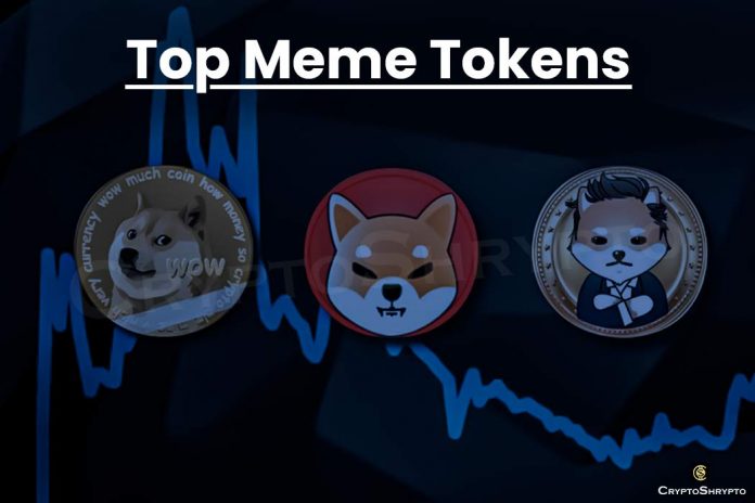 Crypto meme coin SHIB and DOGE dip by 45% amid crypto market crash
