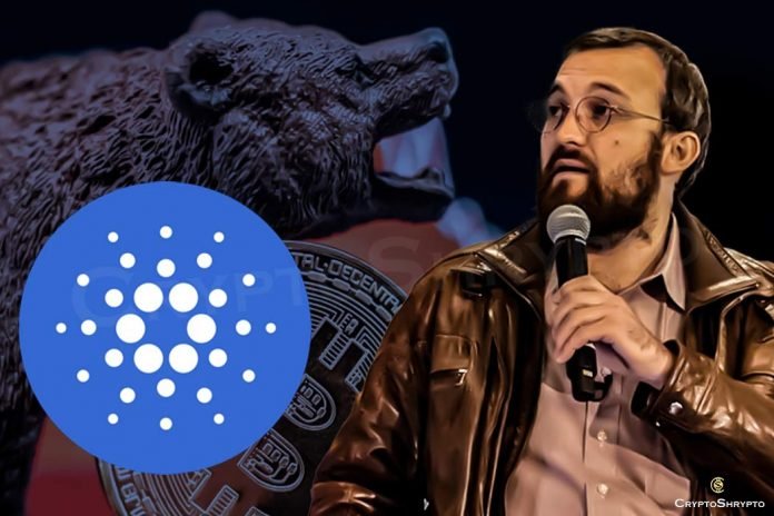 Cardano founder claims crypto enters in bear market