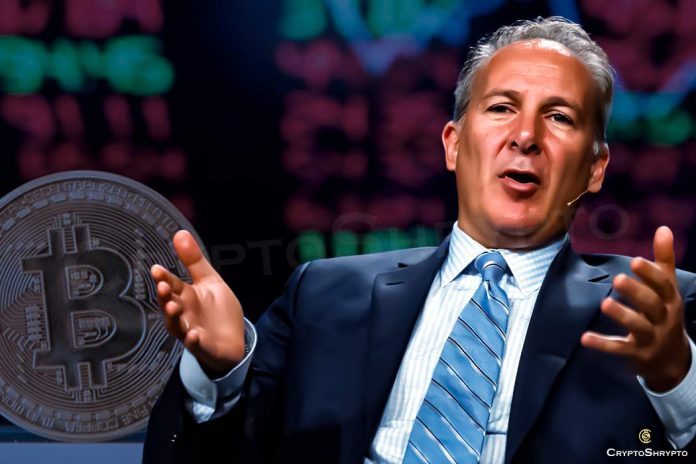 SchiffGold CEO predicts massive crypto selling and slump of blockchain-related stocks