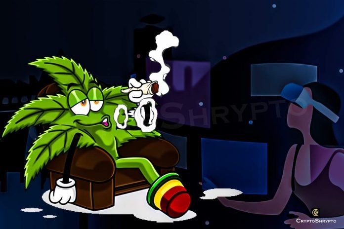12 (18) Cannabis dives in the world of Metaverse to educate and sell products for consumers