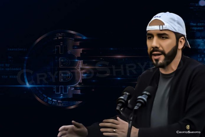 El Salvador President urges Bitcoin investors to stop staring at Bitcoin chart and be patient