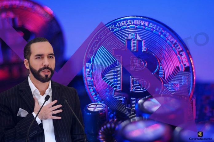 El Salvador President all ready to buy more bitcoin after Finance Minister's remark