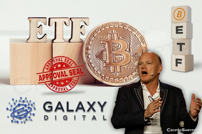 Mike Novogratz believes BTC adoption is on way