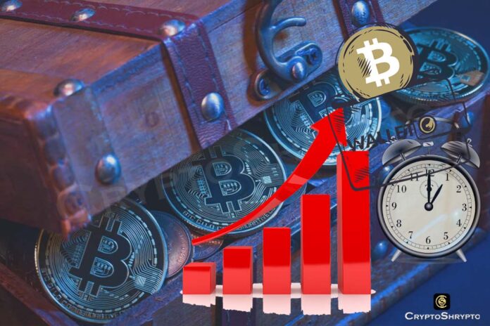 Bitcoin whale wallet transfers 1037 BTC