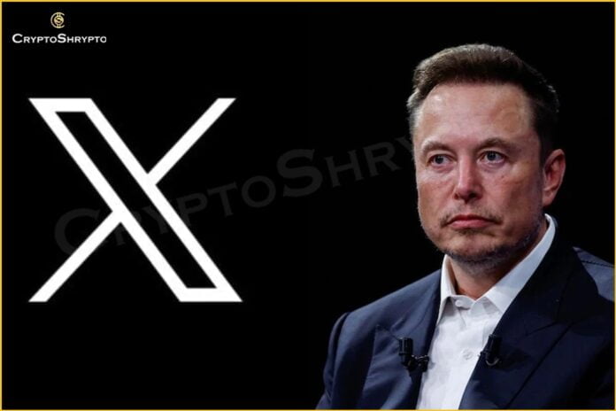 Elon Musk's X Platform's Value Halved Since $44 Billion Purchase