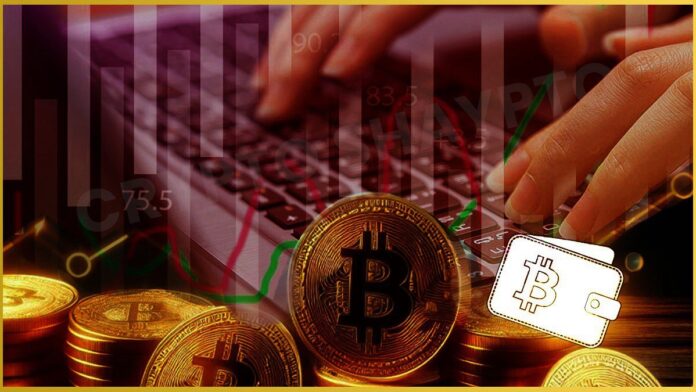 Coinbase Unveils Smart and Embedded Wallet Solutions for Easier EVM Integration