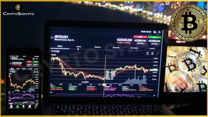 Social Media Phishing Scams Cost Crypto Users $46.8 Million in February