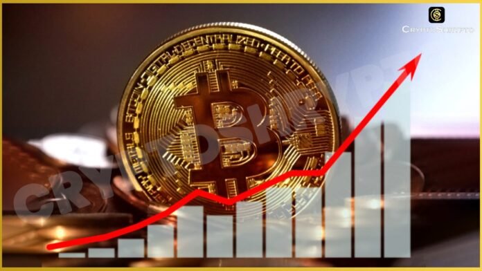 Block Bitcoin Investment Surges 160%, Driving Strong Q1 2024 Earnings Growth