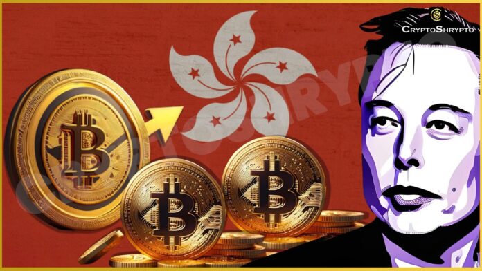 Elon Musk Deepfake Crypto Scam Highlights Risks to Hong Kong