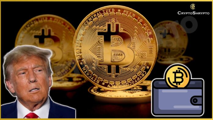 Donald Trump’s Crypto Wallet Holds $10 Million in Assets