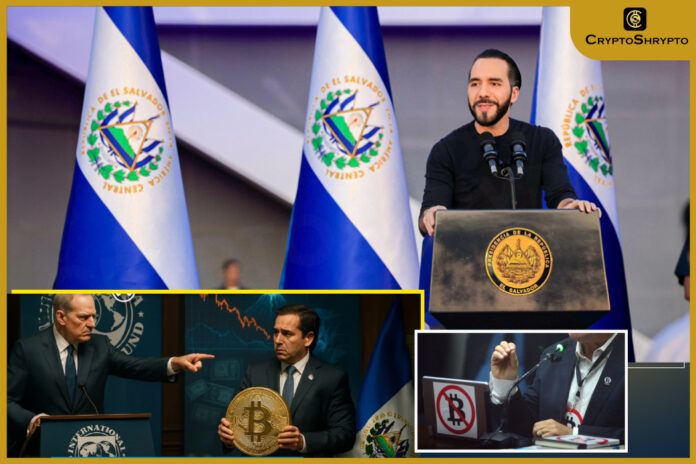 El Salvador Halted Bitcoin Purchases Since February, IMF Letter Reveals